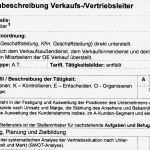 Vorlage Stellenbeschreibung Schön Stellenbeschreibung Verkaufs Vertriebsleiter