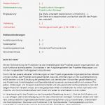 Vorlage Stellenbeschreibung Schönste Muster Stellenbeschreibung Projektleiter In Manager In