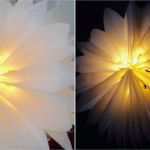 Vorlage Stern Aus butterbrottüten Fabelhaft Papierlampions Aus butterbrottüten Kreativ