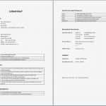 Vorlage Tabellarischer Lebenslauf Hübsch Tabellarischer Lebenslauf Muster Aufbau Word Vorlage