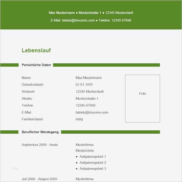 Vorlage Tabellarischer Lebenslauf Schön Vorlage 18 Tabellarischer Lebenslauf
