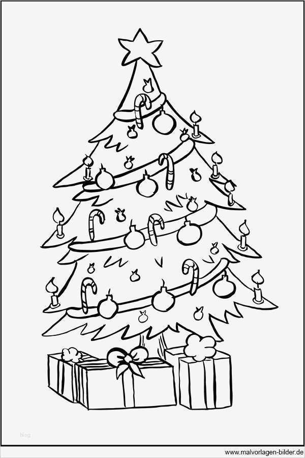Vorlage Tannenbaum Zum Ausdrucken Schönste Ausmalbild Weihnachtsbaum Und Geschenke Zum Ausdrucken