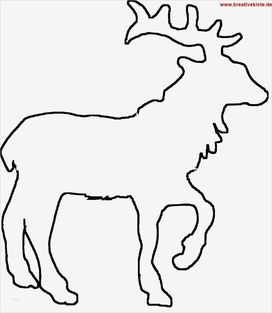 Vorlage Tannenbaum Zum Ausdrucken Schönste Tannenbaum Vorlage Zum Ausdrucken Bildergalerie Ideen