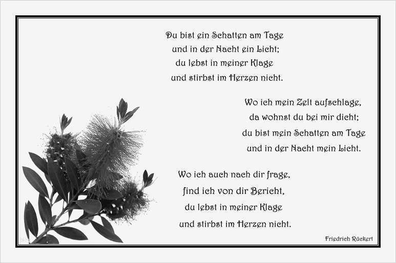 Vorlage Trauerkarte Best Of Du Bist Ein Schatten Am Tage Foto & Bild