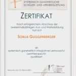 Vorlage Zertifikat Word Erstaunlich tolle Abschlusszertifikat Vorlage Ideen Vorlagen Ideen