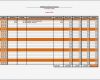 Vorlage Zur Dokumentation Der Täglichen Arbeitszeit 2016 Süß Excel Arbeitszeitnachweis Vorlagen 2017