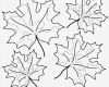 Vorlagen Ausmalbilder Kostenlos Fabelhaft Herbst Malvorlagen Kostenlos Zum Ausdrucken