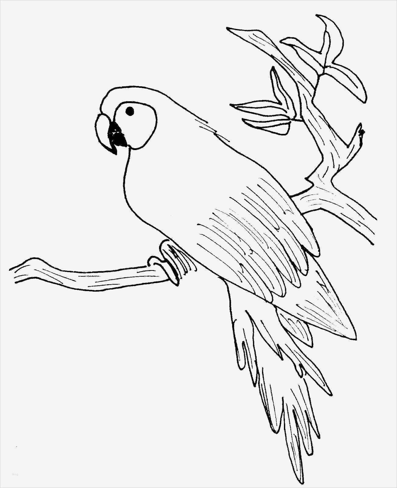 Vorlagen Ausmalbilder Kostenlos Schönste Ausmalbilder Vorlagen Zum Ausmalen Gratis – Ich Liebe Wasser