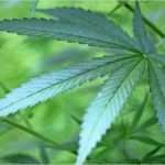 Vorlagen Bei Inkontinenz Auf Rezept Süß Gesundheit – Ärzte Im Landkreis Leipzig Immer Noch