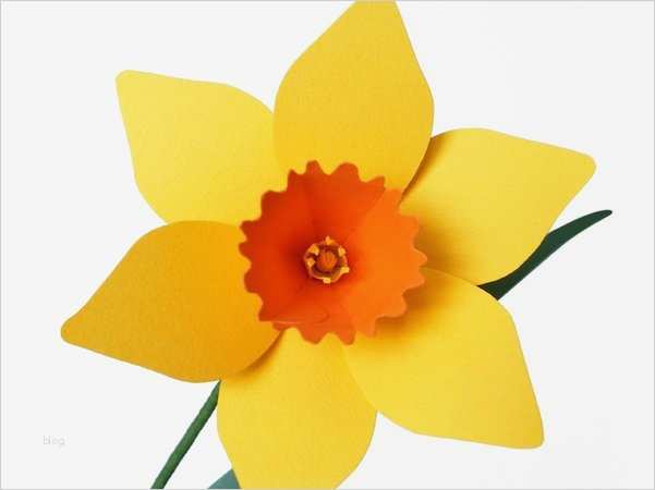 Vorlagen Blumen Basteln Angenehm Blumen Basteln Narzissen Basteln Diy Pdf