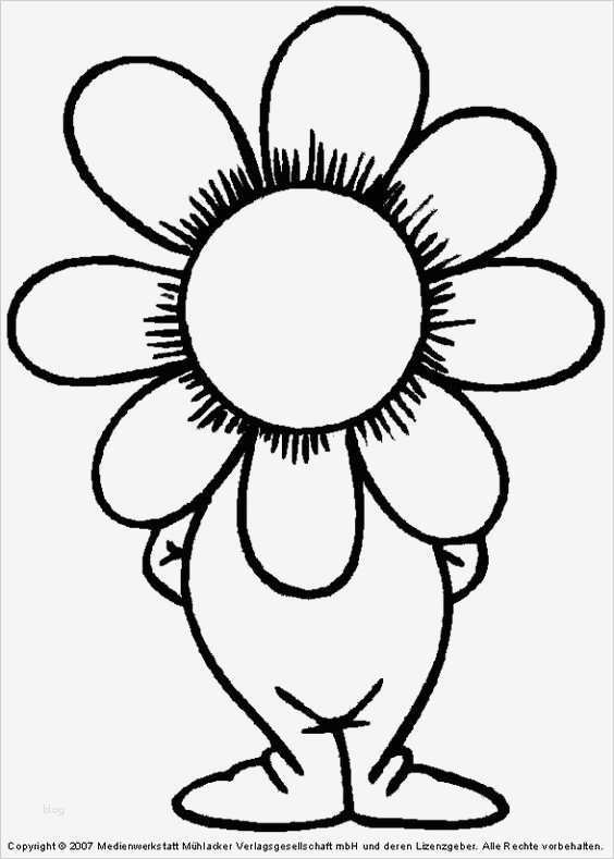 Vorlagen Blumen Basteln Inspiration Basteln On Pinterest