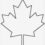 Vorlagen Fensterbilder Best Of Fensterbilder Für Den Herbst Basteln 25 Ideen Und Vorlagen