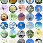 Vorlagen Für Cabochons Genial Die Besten 25 Cabochon Vorlagen Ideen Auf Pinterest