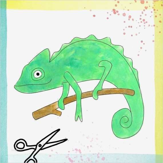 Vorlagen Für Collagen Bewundernswert Mal Collagen Regenwaldtiere Pdf Spielen & Lernen Pdf