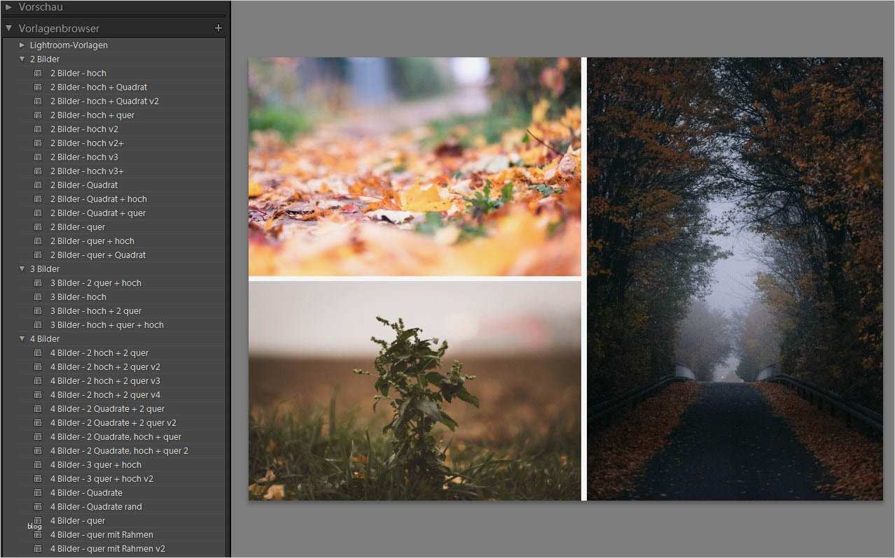 Vorlagen Für Collagen Gut Lightroom Collagen