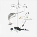 Vorlagen Für Collagen Schön Mal Collagen Arktische Tiere Pdf Basteln Malen Lernen