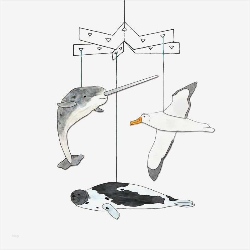 Vorlagen Für Collagen Schön Mal Collagen Arktische Tiere Pdf Basteln Malen Lernen