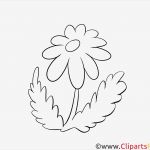 Vorlagen Für Laubsägearbeiten Schönste Holzarbeiten Vorlagen Kostenlos Blume Kamille