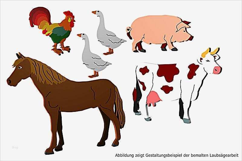 Vorlagen Für Laubsägearbeiten Schönste Laubsäge Vorlagen Bauernhof Tiere Buch Bei Weltbild
