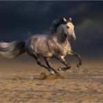 Vorlagen Für Webseiten Neu Webseite Mieten Ab 29 € Im Monat Equipromo Webseiten Für