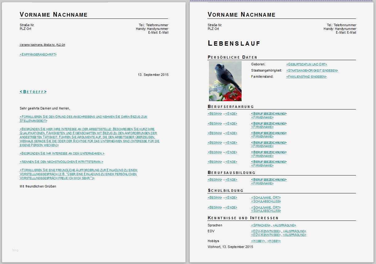 Vorlagen Libreoffice Bewundernswert Bewerbungsvorlagen Für Libreoffice