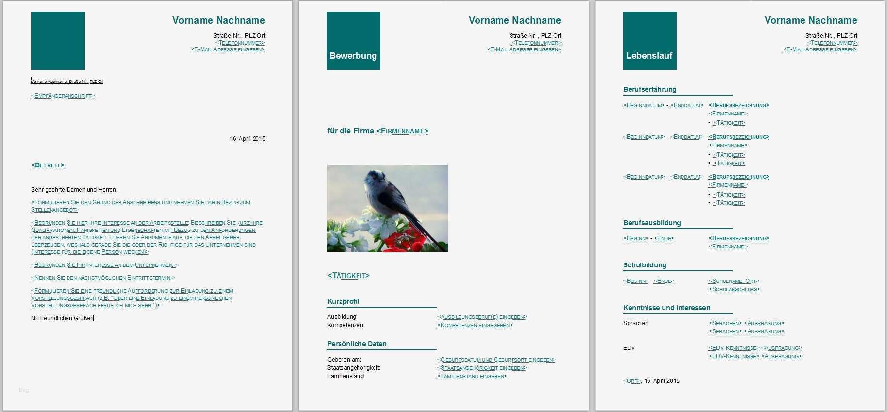 Vorlagen Libreoffice Einzigartig Bewerbungsvorlagen Für Libreoffice