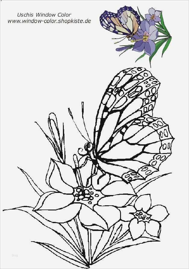 Vorlagen Window Color Angenehm Die 31 Besten Ideen Zu Window Color Auf Pinterest