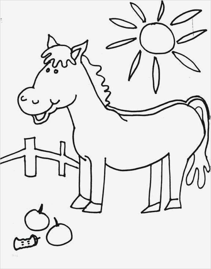 Vorlagen Window Color Elegant Window Color Vorlagen Az Colorare