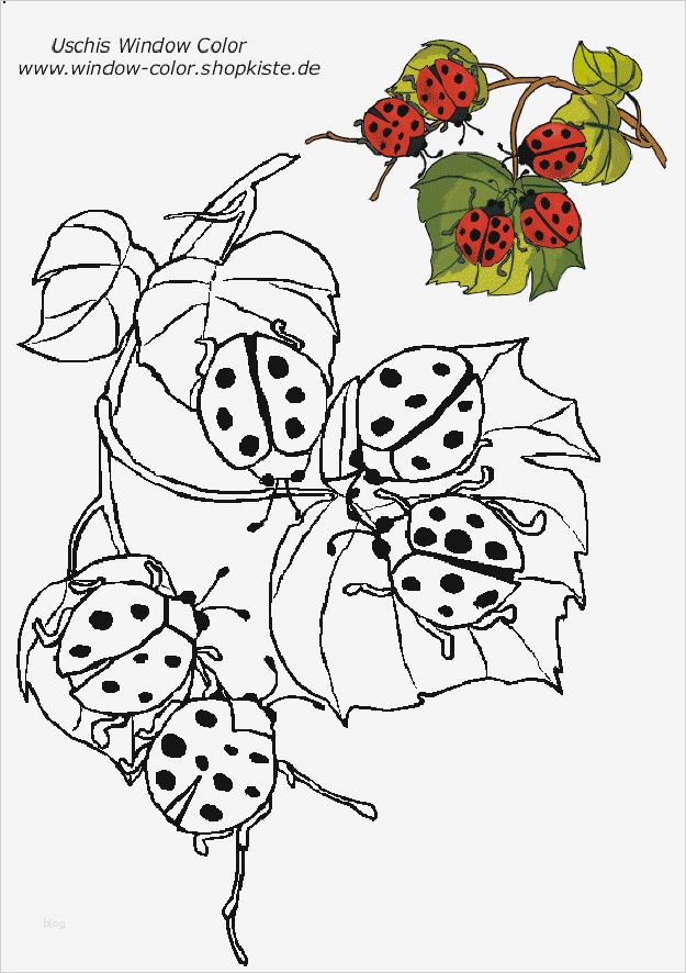 Vorlagen Window Color Genial Tiere Vorlagen 1