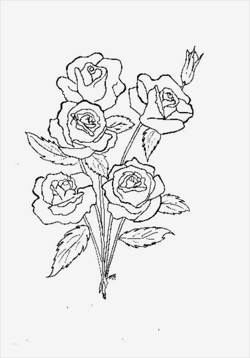 Vorlagen Window Color Großartig Blumen