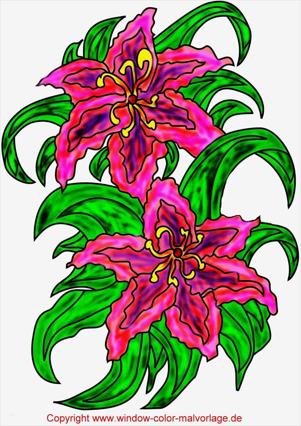 Vorlagen Window Color Gut Windowcolor Vorlagen Zum Nachmalen | Vorlage