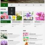 Vorlagen Wordpress Einzigartig Wordpress theme Für Blumen