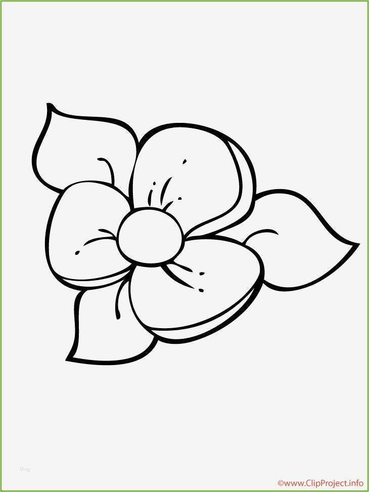 Vorlagen Zum Ausschneiden Genial Fantastisch Vorlage Für Blumen Ideen