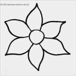 Vorlagen Zum Ausschneiden Gut Ausgezeichnet Kostenlose Blumen Schablone Vorlagen Galerie