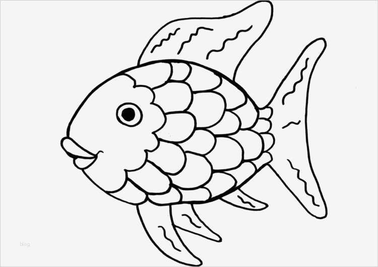 Vorlagen Zum Ausschneiden Süß Fische Basteln Mit Kindern Zum Dekorieren Spielen Und