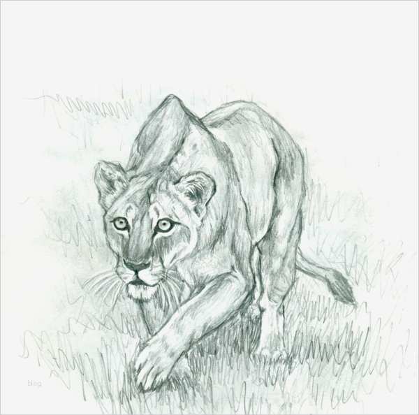 Vorlagen Zum Zeichnen Lernen Einzigartig 1001 Coole Bilder Zum Zeichnen tolle Gesichtsbilder Als