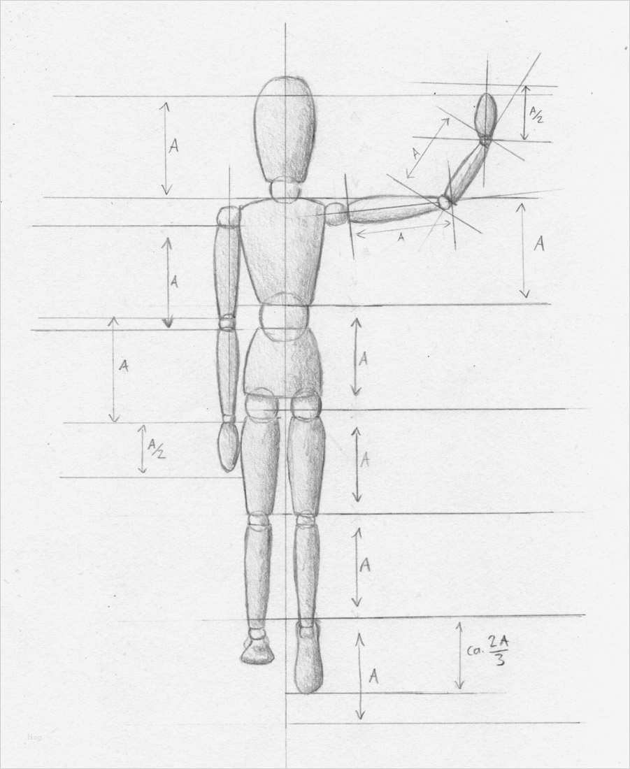 Vorlagen Zum Zeichnen Lernen Elegant Menschen Zeichnen Proportionen Mann Und Frau Zeichenkurs
