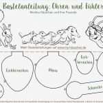 Vtech Schreib Lern Tafel Vorlagen Elegant Berühmt Schnecke Vorlage Zeitgenössisch Entry Level