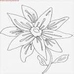 Wandbilder Selber Malen Vorlagen Genial Wandbilder Selber Malen Vorlagen Luxus 324 Besten Zeichnen