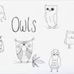 Wandmotive Selber Malen Vorlagen Cool In 10 Minuten 6 Niedliche Eulen Zeichnen Nur so Zum Spaß