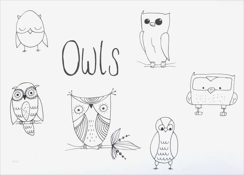 Wandmotive Selber Malen Vorlagen Cool In 10 Minuten 6 Niedliche Eulen Zeichnen Nur so Zum Spaß