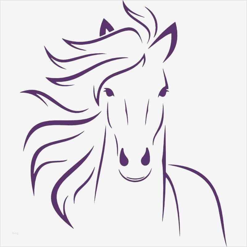 Wandmotive Selber Malen Vorlagen Erstaunlich Pferdekopf … Delia