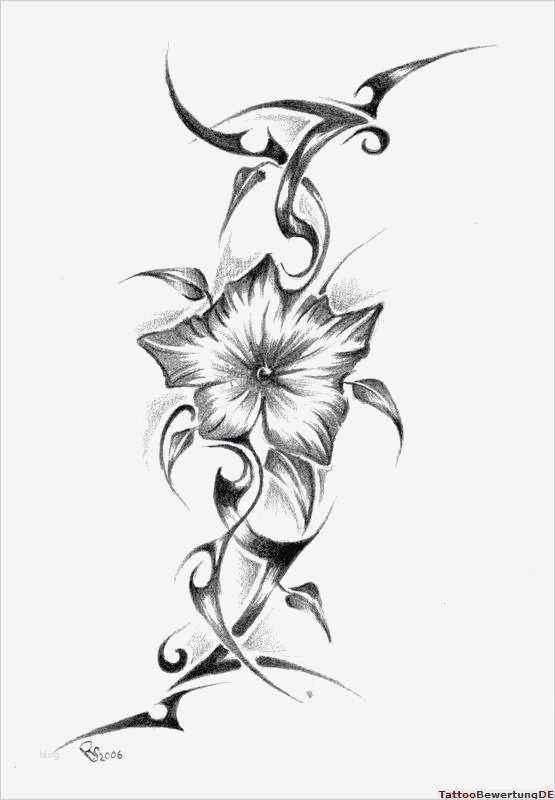 Wandmotive Selber Malen Vorlagen Hübsch Bilder Zum Selber Malen Bilder Zum Selber Malen with