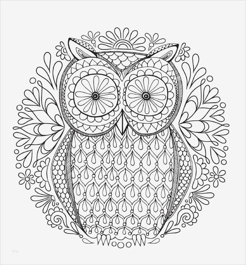 75 Luxus Wandmotive Selber Malen Vorlagen Vorräte 2 50 Mandala Vorlagen Stress abbauen DIY ZENIDEEN