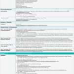 Wartungsplan Vorlage Gut Großartig Netzwerk Wartungsplan Vorlage Zeitgenössisch