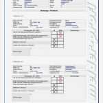 Wartungsprotokoll Rauchmelder Vorlage Luxus Ungewöhnlich Wartungsvertrag Muster Bilder Bilder Für