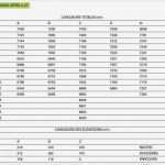 Wartungsprotokoll Vorlage Excel Fabelhaft Groß Gasprotokoll Vorlage Zeitgenössisch Entry Level