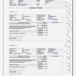 Wartungsprotokoll Vorlage Luxus Erfreut Lkw Wartungsprotokollvorlage Zeitgenössisch