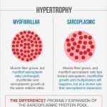 Website Erstellen HTML Vorlage Gut Gallery Of Swot Analysis Vorlagen Excel Vorlagen Kostenlos