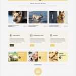 Website Vorlagen Süß Website Vorlage Für Hunde